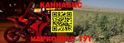 индика Краснознаменск