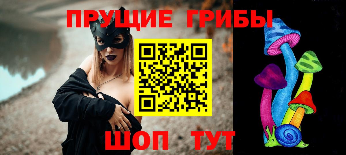 Кировск  наркотики  Вход с VPN  Галлюциногенные грибы прущие грибы  Псилоцибиновые грибы мухоморы 